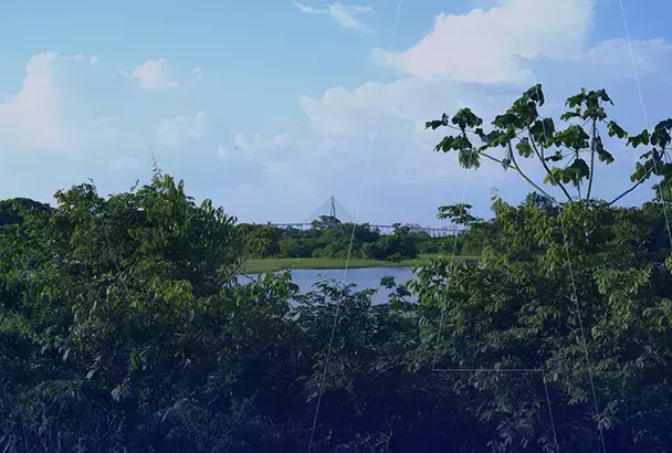 Seca na Região Amazônica | Aceite de reservas com restrição