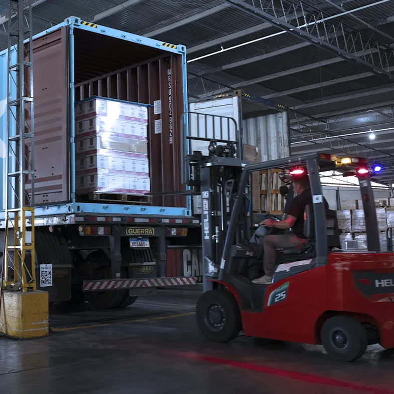 Forklift operator moving pallets inside an Aliança warehouse.