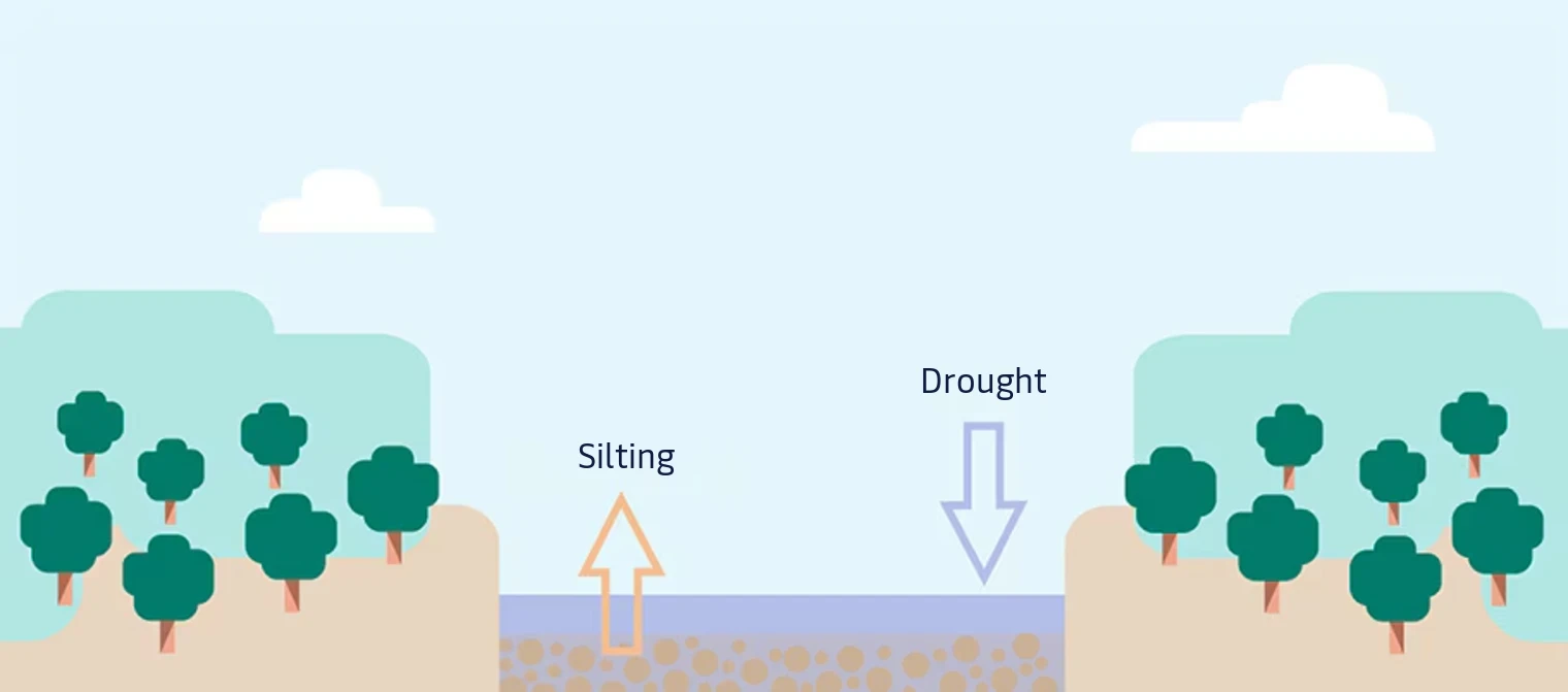 Illustration of a river between tree-lined banks: the drought arrow shows the water level dropping and the silting arrow shows sediment building up from the bottom.