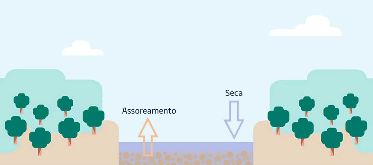 Ilustração de um rio entre margens com árvores: a seta da seca indica o nível da água baixando e a seta do assoreamento indica os sedimentos subindo do fundo.